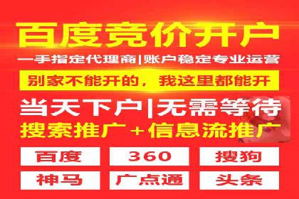 百度推广与SEO结合案例：提升网站排名的技巧